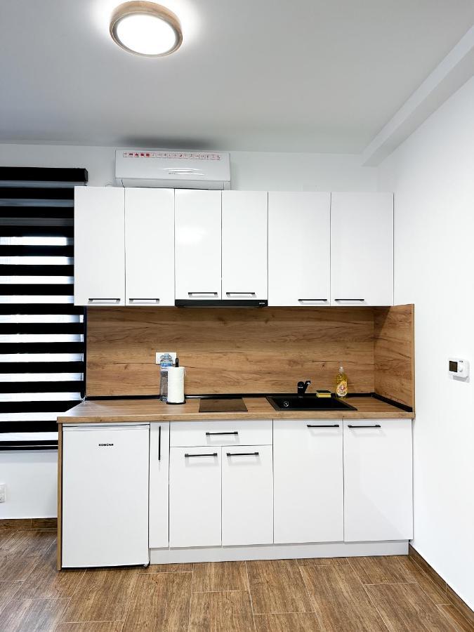 Kiko Apartmani Lux ズレニャニン エクステリア 写真